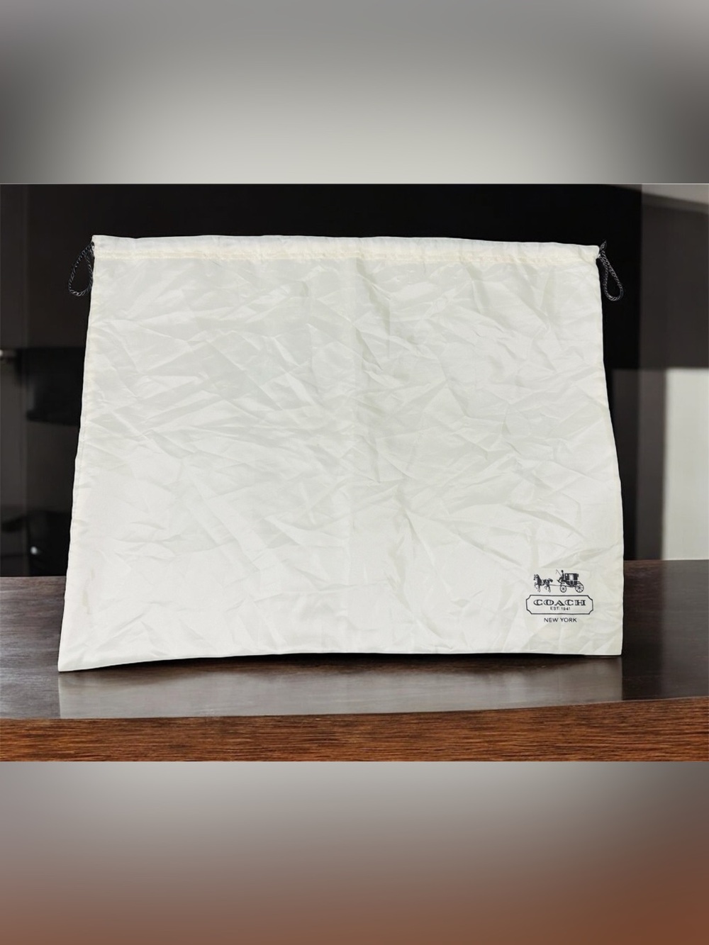 Coach Large Silk Dust Bag